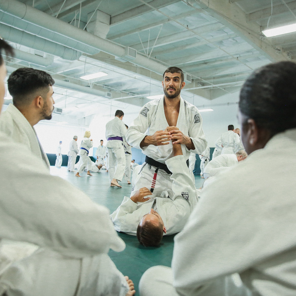 Safe and structured self-defense.